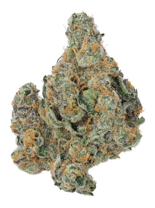 THCA Buds - Cheetah Piss 26,5% - 3g  (US Grown!)